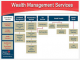 wealth management services
