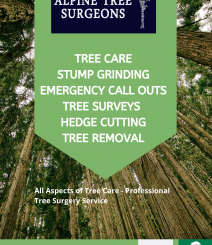 Tree Surgeons Essex